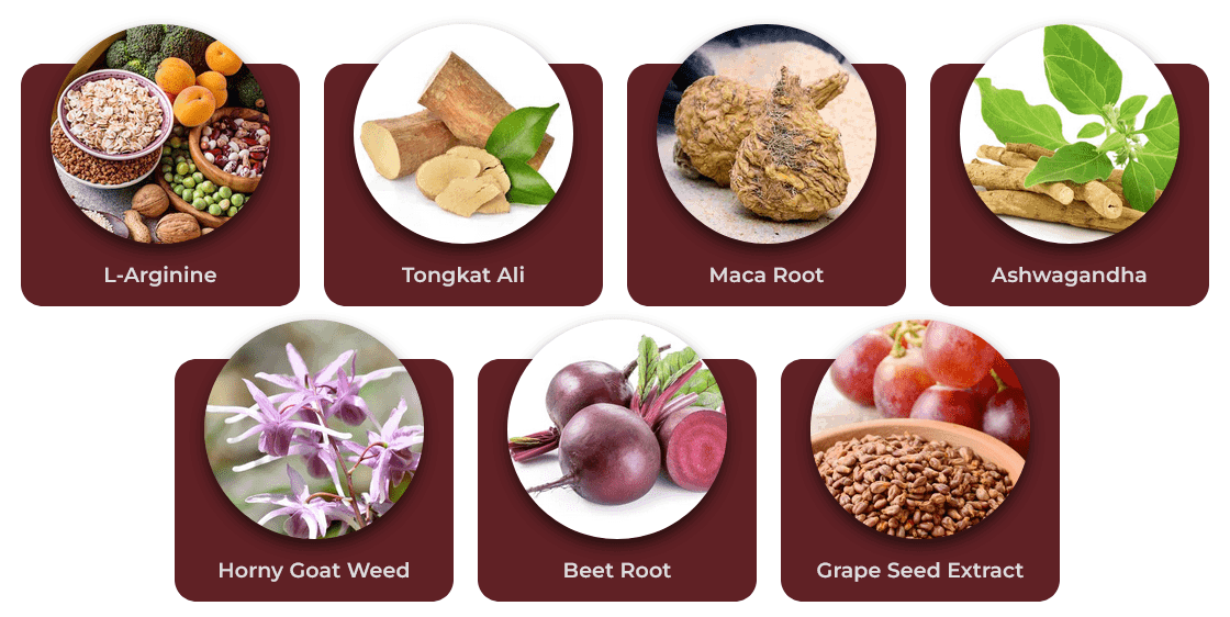 Spartamax-Ingredients 